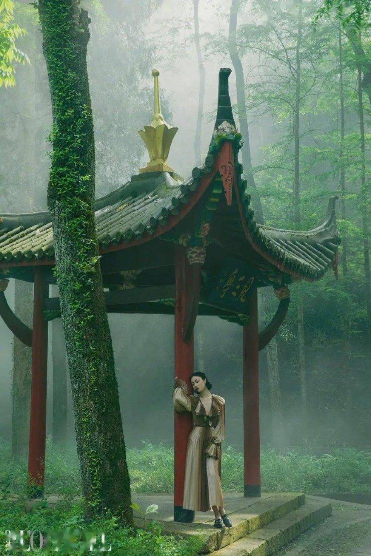 可爱啄木鸟逃脱