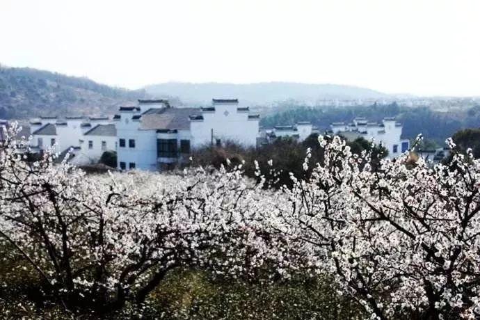 命运骰子